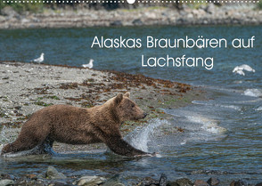 Grizzlybären im Katmai Nationalpark Alaska (Wandkalender 2022 DIN A2 quer) von Photo4emotion.com