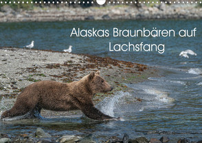 Grizzlybären im Katmai Nationalpark Alaska (Wandkalender 2022 DIN A3 quer) von Photo4emotion.com