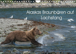 Grizzlybären im Katmai Nationalpark Alaska (Wandkalender 2022 DIN A4 quer) von Photo4emotion.com