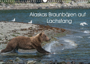 Grizzlybären im Katmai Nationalpark Alaska (Wandkalender 2023 DIN A3 quer) von Photo4emotion.com