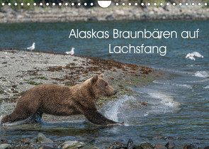 Grizzlybären im Katmai Nationalpark Alaska (Wandkalender 2023 DIN A4 quer) von Photo4emotion.com