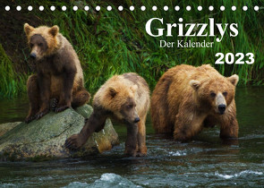 Grizzlys – Der Kalender CH-Version (Tischkalender 2023 DIN A5 quer) von Steinwald,  Max