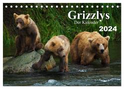 Grizzlys – Der Kalender (Tischkalender 2024 DIN A5 quer), CALVENDO Monatskalender von Steinwald,  Max