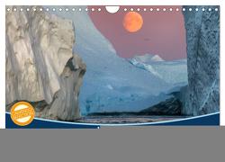 GRÖNLAND Eisfjord und Diskobucht (Wandkalender 2024 DIN A4 quer), CALVENDO Monatskalender von Junio,  Michele