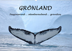 Grönland Faszinierend atemberaubend grandios (Wandkalender 2023 DIN A2 quer) von GUGIGEI