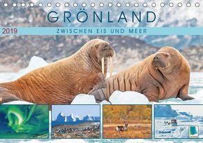 Grönland: Zwischen Eis und Meer (Tischkalender 2019 DIN A5 quer) von CALVENDO