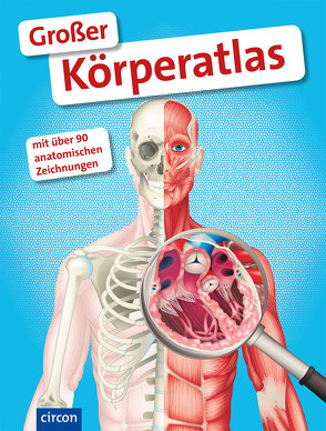 Großer Körperatlas von Trautmann,  Elke, Zysk,  Dr. Stefanie