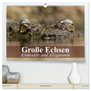 Große Echsen. Krokodile und Alligatoren (hochwertiger Premium Wandkalender 2024 DIN A2 quer), Kunstdruck in Hochglanz von Stanzer,  Elisabeth