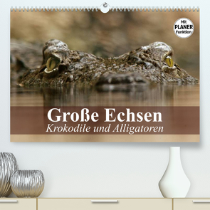 Große Echsen. Krokodile und Alligatoren (Premium, hochwertiger DIN A2 Wandkalender 2023, Kunstdruck in Hochglanz) von Stanzer,  Elisabeth