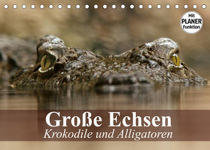 Große Echsen. Krokodile und Alligatoren (Tischkalender 2022 DIN A5 quer) von Stanzer,  Elisabeth