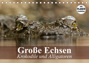 Große Echsen. Krokodile und Alligatoren (Tischkalender 2023 DIN A5 quer) von Stanzer,  Elisabeth