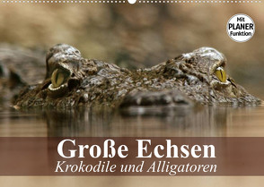 Große Echsen. Krokodile und Alligatoren (Wandkalender 2022 DIN A2 quer) von Stanzer,  Elisabeth