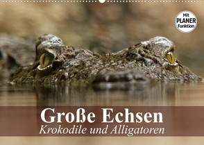 Große Echsen. Krokodile und Alligatoren (Wandkalender 2023 DIN A2 quer) von Stanzer,  Elisabeth