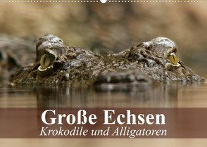 Große Echsen. Krokodile und Alligatoren (Wandkalender 2023 DIN A2 quer) von Stanzer,  Elisabeth