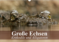 Große Echsen. Krokodile und Alligatoren (Wandkalender 2023 DIN A3 quer) von Stanzer,  Elisabeth