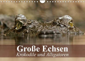 Große Echsen. Krokodile und Alligatoren (Wandkalender 2023 DIN A4 quer) von Stanzer,  Elisabeth