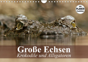 Große Echsen. Krokodile und Alligatoren (Wandkalender 2023 DIN A4 quer) von Stanzer,  Elisabeth