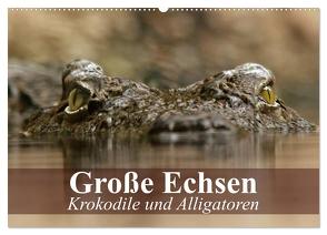 Große Echsen. Krokodile und Alligatoren (Wandkalender 2024 DIN A2 quer), CALVENDO Monatskalender von Stanzer,  Elisabeth