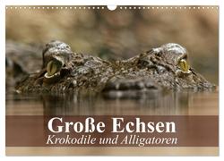 Große Echsen. Krokodile und Alligatoren (Wandkalender 2024 DIN A3 quer), CALVENDO Monatskalender von Stanzer,  Elisabeth