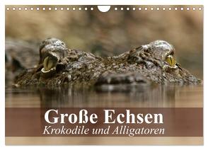 Große Echsen. Krokodile und Alligatoren (Wandkalender 2024 DIN A4 quer), CALVENDO Monatskalender von Stanzer,  Elisabeth