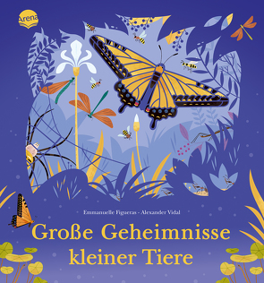 Große Geheimnisse kleiner Tiere von Figueras,  Emmanuelle, Schröer,  Silvia, Vidal,  Alexander