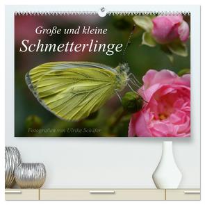 Große und kleine Schmetterlinge (hochwertiger Premium Wandkalender 2024 DIN A2 quer), Kunstdruck in Hochglanz von Schäfer,  Ulrike