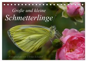 Große und kleine Schmetterlinge (Tischkalender 2024 DIN A5 quer), CALVENDO Monatskalender von Schäfer,  Ulrike