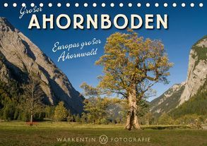 Großer Ahornboden – Europas großer Ahornwald (Tischkalender 2019 DIN A5 quer) von H. Warkentin,  Karl