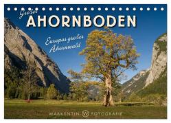 Großer Ahornboden – Europas großer Ahornwald (Tischkalender 2024 DIN A5 quer), CALVENDO Monatskalender von H. Warkentin,  Karl