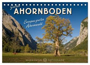Großer Ahornboden – Europas großer Ahornwald (Tischkalender 2024 DIN A5 quer), CALVENDO Monatskalender von H. Warkentin,  Karl