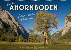 Großer Ahornboden – Europas großer Ahornwald (Wandkalender 2019 DIN A2 quer) von H. Warkentin,  Karl