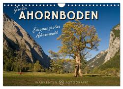 Großer Ahornboden – Europas großer Ahornwald (Wandkalender 2024 DIN A4 quer), CALVENDO Monatskalender von H. Warkentin,  Karl