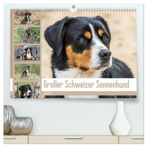 Großer Schweizer Sennenhund (hochwertiger Premium Wandkalender 2024 DIN A2 quer), Kunstdruck in Hochglanz von SchnelleWelten,  SchnelleWelten