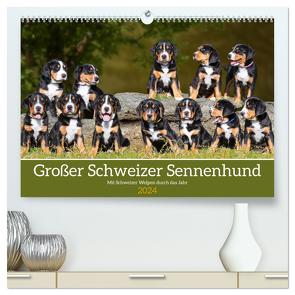 Großer Schweizer Sennenhund – Mit Schweizer Welpen durch das Jahr (hochwertiger Premium Wandkalender 2024 DIN A2 quer), Kunstdruck in Hochglanz von Starick,  Sigrid