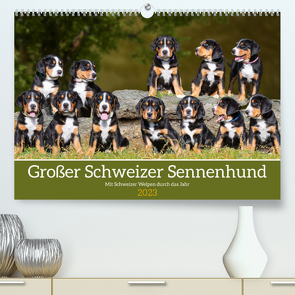 Großer Schweizer Sennenhund – Mit Schweizer Welpen durch das Jahr (Premium, hochwertiger DIN A2 Wandkalender 2023, Kunstdruck in Hochglanz) von Starick,  Sigrid