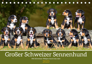Großer Schweizer Sennenhund – Mit Schweizer Welpen durch das Jahr (Tischkalender 2023 DIN A5 quer) von Starick,  Sigrid