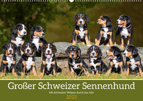 Großer Schweizer Sennenhund – Mit Schweizer Welpen durch das Jahr (Wandkalender 2023 DIN A2 quer) von Starick,  Sigrid