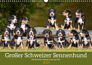 Großer Schweizer Sennenhund – Mit Schweizer Welpen durch das Jahr (Wandkalender 2023 DIN A3 quer) von Starick,  Sigrid