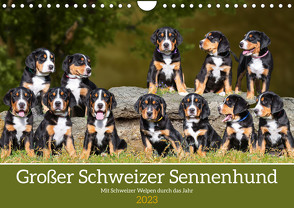 Großer Schweizer Sennenhund – Mit Schweizer Welpen durch das Jahr (Wandkalender 2023 DIN A4 quer) von Starick,  Sigrid