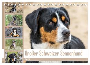 Großer Schweizer Sennenhund (Tischkalender 2024 DIN A5 quer), CALVENDO Monatskalender von SchnelleWelten,  SchnelleWelten