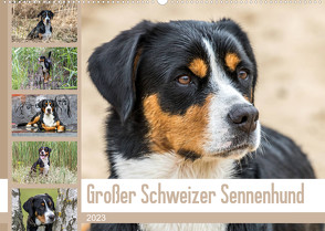 Großer Schweizer Sennenhund (Wandkalender 2023 DIN A2 quer) von SchnelleWelten