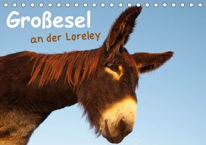 Großesel an der Loreley (Tischkalender 2020 DIN A5 quer) von Bölts,  Meike