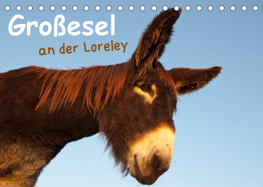 Großesel an der Loreley (Tischkalender 2022 DIN A5 quer) von Bölts,  Meike