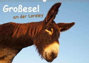 Großesel an der Loreley (Wandkalender 2019 DIN A3 quer) von Bölts,  Meike