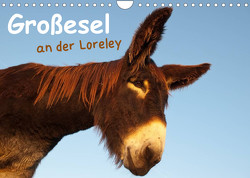 Großesel an der Loreley (Wandkalender 2023 DIN A4 quer) von Bölts,  Meike