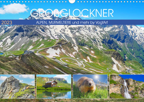 Großglockner, Alpen, Murmeltiere & mehr by VogtArt (Wandkalender 2023 DIN A3 quer) von VogtArt