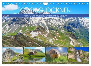 Großglockner, Alpen, Murmeltiere & mehr by VogtArt (Wandkalender 2024 DIN A4 quer), CALVENDO Monatskalender von VogtArt,  VogtArt