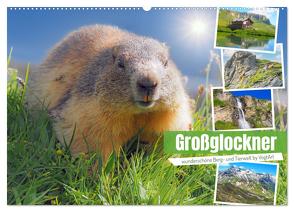 Großglockner wunderschöne Berg- und Tierwelt (Wandkalender 2024 DIN A2 quer), CALVENDO Monatskalender von VogtArt,  VogtArt