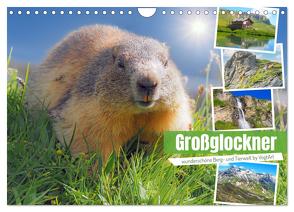 Großglockner wunderschöne Berg- und Tierwelt (Wandkalender 2024 DIN A4 quer), CALVENDO Monatskalender von VogtArt,  VogtArt