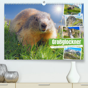 Großglockner wunderschöne Berg- und TierweltAT-Version (Premium, hochwertiger DIN A2 Wandkalender 2023, Kunstdruck in Hochglanz) von VogtArt